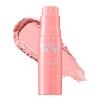 Perfect Glam Stick Blusher 6g, 1 Piece, PK01 Pink Fairy