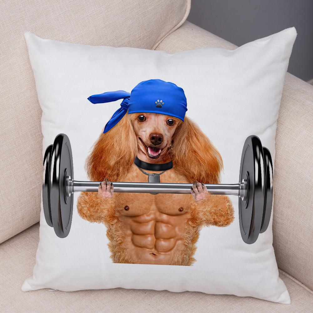 Funny Cat Dog Cushion Cover Fitness Animal Dumbbell Print Soft Fabric Living Room Sofa Home Decor Pillow Case