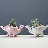 Cute Dinosaur Flower Pot Ceramic Succulent Pot Plant Pot Planter Bonsai Home Decor Indoor Decoration Desktop Ornaments