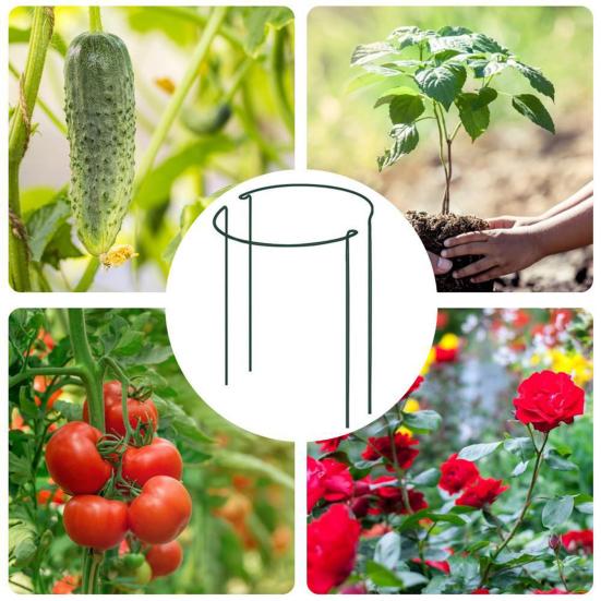 Колья для поддержки растений Полукруглый верх Металлический кол для растений Клетки и опоры для пионов Кольца для поддержки садовых растений для уличных комнатных растений Помидоры Гортензия