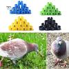 100Pcs Bird Poultry Chicks 1-100 Numbered Pigeon Leg Bands Rings