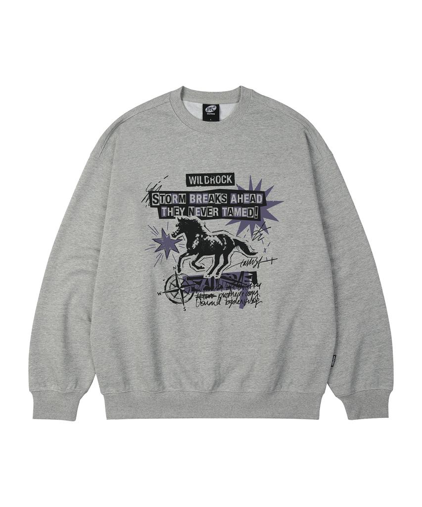 Свободная толстовка WILDROCK Storm Horse_9 Col (Тип B)