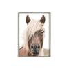Печать постера с лошадью Современные лошади в поле Настенная живопись HD Картина на холсте Гостиная Фреска Украшение дома Подарок Cuadros