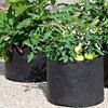 5 Gallon Grow Bag Heavy Duty Non-Woven Fabric Planting Bag with Handles Thickened