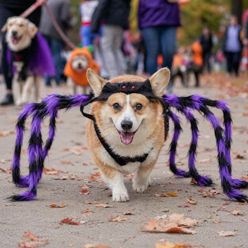 Halloween Spider Costume for Dog Cat Hairy Spider Pet Dress Up Outfit for Halloween Party Accessory Festival Costume