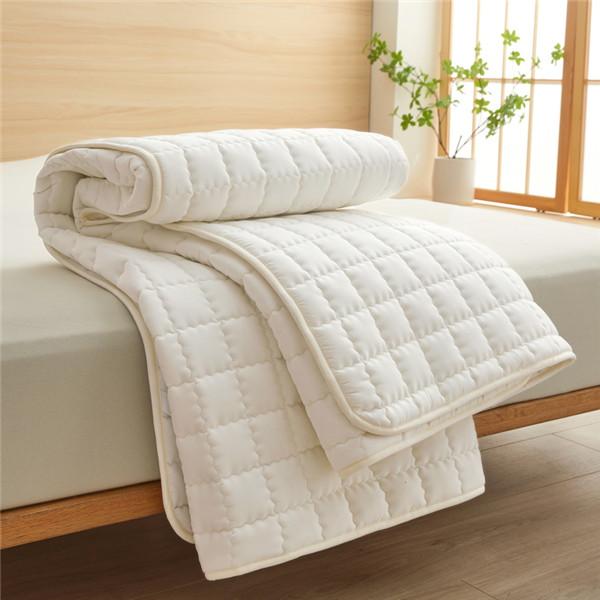 Waterproof  Mattress Pad Antibacterial and Mite-proof Bed Mat Non-Slip Mattress Cover Waterproof Thicken Quilted Bedspreads(No Pillowcases )