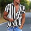 Summer Hawaiian Shirts 3d Printed Striped Sexy Men Women Clothing Men's Vocation Lapel Camisa Fashion Beach Short Sleeve  Blouse