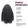 MISS WIG Synthetic Elastic Drawstring Loose Wave Curly Scrunchies Ponytail Extensions 12inch Ponytail Wig for Women