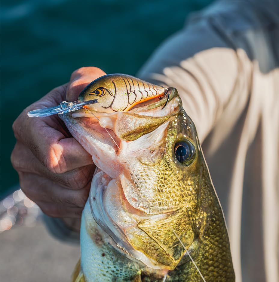 Rapala Dive Tow PRT Попугай DT12 6см/17г
