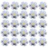25Pcs 5V LED Chips 200LM 1W High Power LED Lamp Beads for DIY Lighting FixturesPure White
