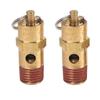 2Pcs 175 PSI Brass Safety Valve 1/4" Air Compressor Check Valve  Air Compressor