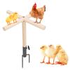 Игрушка для цыплят жердочка деревянная подставка для цыплят с металлическим колышком на земле курятник аксессуары для домашней птицы на заднем дворе для петухов цыплят попугаев