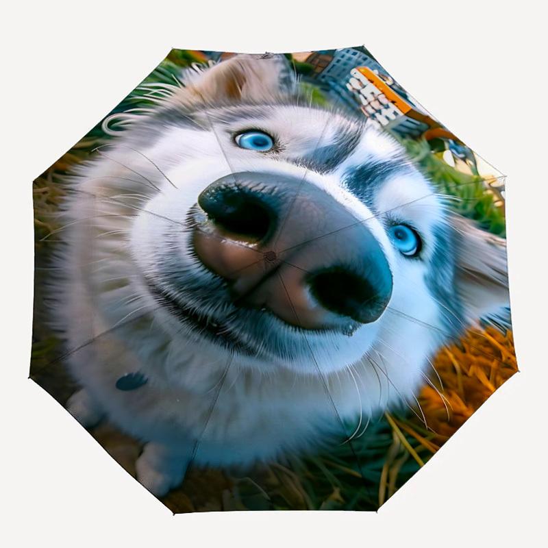 1pc Siberian Husky, Blue Eyes Automatic Open/Close Umbrella - Compact Travel Umbrella with 8-Rib Durable Frame, Lightweight & Portable Design z31