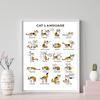 Смешные милые кошки и собаки язык скандинавские плакаты и принты дрессировка животных знания настенное искусство холст картины картины домашний декор без рамки