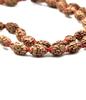 2 Mukhi Rudraksha Mala 108+1 Beads | Certified Natural Java Rudraksha Japa Mala | Spiritual Meditation Necklace for Men & Women