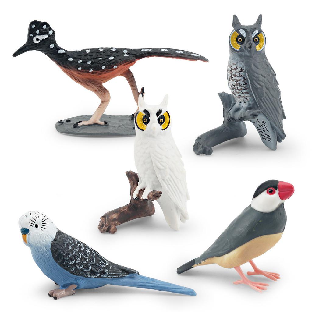 Colorful Lifelike And Pvc Bird Models Set Featuring Parrots Owls And Exotic Birds Ideal For Decor Home