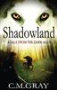 Книга Shadowland : 1