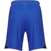 Nike Swoosh Vaporknit IV 23 Серия командных джерси Cool Dry Удобные Влагоотводящие Футбольные шорты Мужские шорты DR0952-463