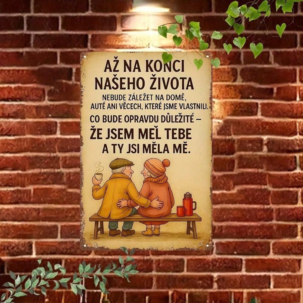 Винтажная чешская жестяная табличка со слоганом, 7,87x11,81 дюйма, ретро-металлическое настенное искусство, ностальгический декор для дома
