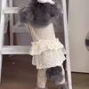 Lace Camisole Pet Spring Summer Jumpsuit Soft Pet Four Legged Coat Pet Supplies Dog Pajamas  Autumn