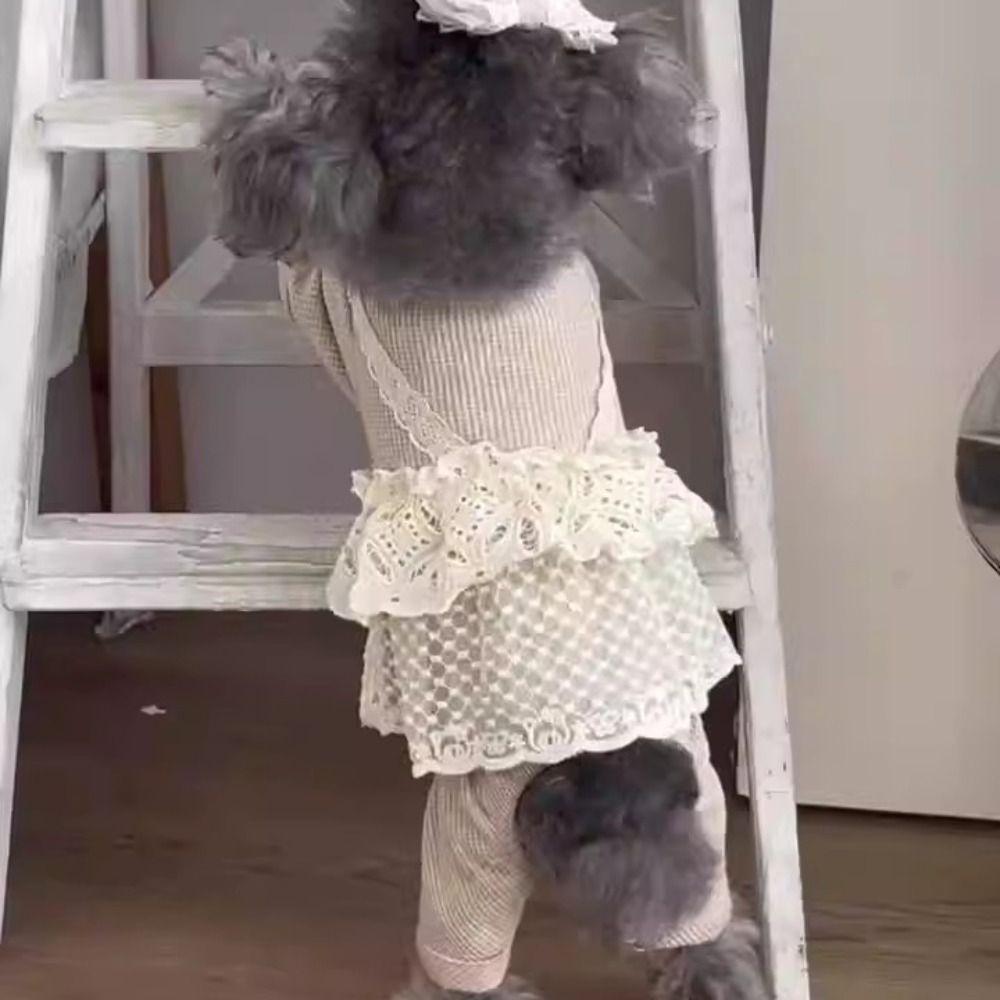 Lace Camisole Pet Spring Summer Jumpsuit Soft Pet Four Legged Coat Pet Supplies Dog Pajamas  Autumn