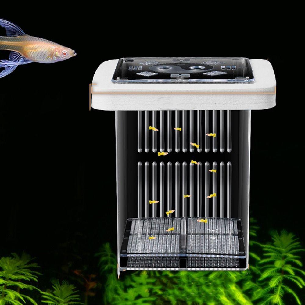 Permeable Floating Hatching Box Transparent Fish Tank Divider Mother Fish Incubator  For Small Fish