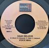 7-дюймовая пластинка ГОЛОСОВОЕ СООБЩЕНИЕ - Kaah Believe NONE Birchill Record 2007 Ямайка Регги, Ска и Даб Б/У