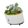 Simulation Plant Humidifier USB Charging Quiet 200ml Automatic Power Off Protection Portable Mini