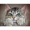 5D Diy Diamond Painting Cute Little Fat Cat Diamond Embroidery Cross Stitch Home Decor Handmade Gifts