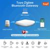 GW16 Умный двухрежимный беспроводной шлюз Zigbee Bluetooth-совместимый для связи устройств умного дома Удаленное управление через приложение
