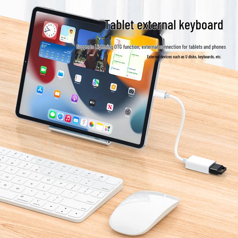 Lightning to USB OTG Adapter