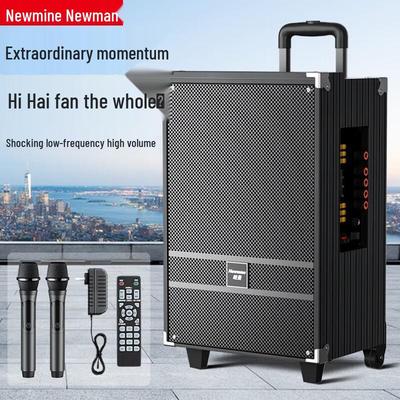 Портативная Bluetooth-колонка на колесиках Newmine N519, 12 дюймов, с двумя микрофонами, штекер CN (адаптер в комплекте)