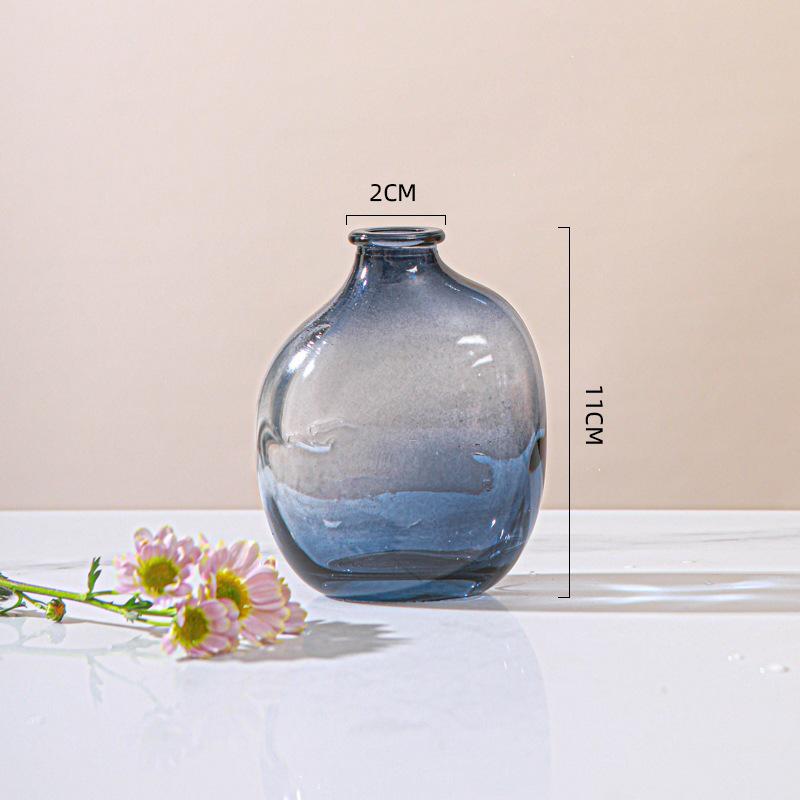 Irregular Glass Vase for Hydroponic Plants - Small Decorative Holder for Living Room Flower Arrangements