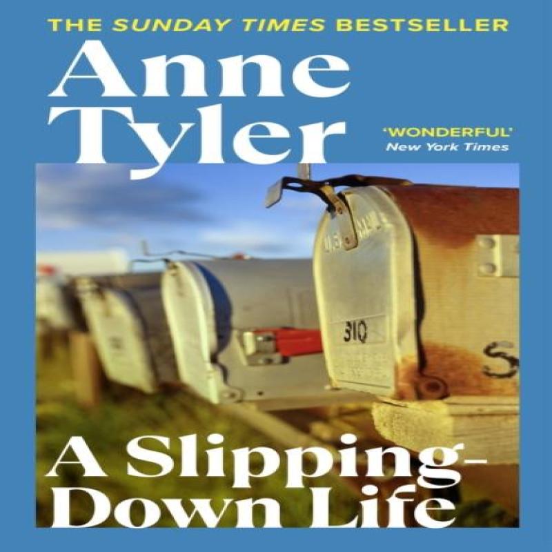 A Slipping Down Life by Anne Tyler Paperback Book 9780099517504