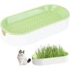 For Easy Growth Hydroponic Cat Grass Box Cat Treats Cat Grass Pot Set