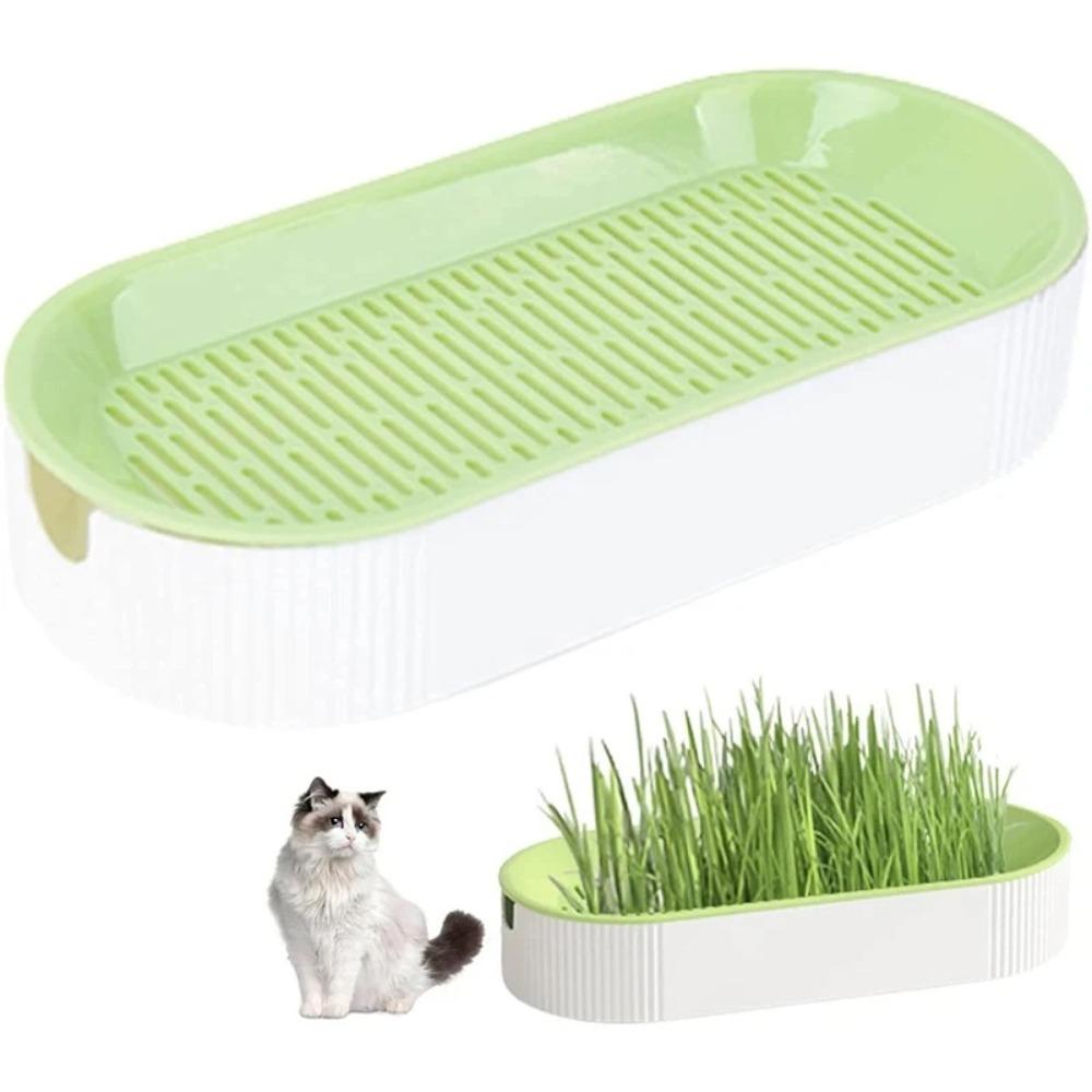 For Easy Growth Hydroponic Soilless Planting Catnip Cat Grass Pot Set Hydroponic Cat Grass Box