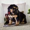 Tibetan Mastiff Pillowcase  Modern Home Living Room Decoration