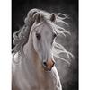 5d Diamond Painting Full Horse Diamond Mosaic Animal Diamond Embroidery Resin Drill Handmade