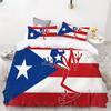 Пододеяльник с национальным флагом Пуэрто-Рико, комплект постельного белья Twin Full King Size Gay Rainbow, комплект постельного белья из микрофибры со звездами и сердечками