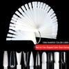 50-Color Fan-Shaped Gel Polish Nail Art Display Chart