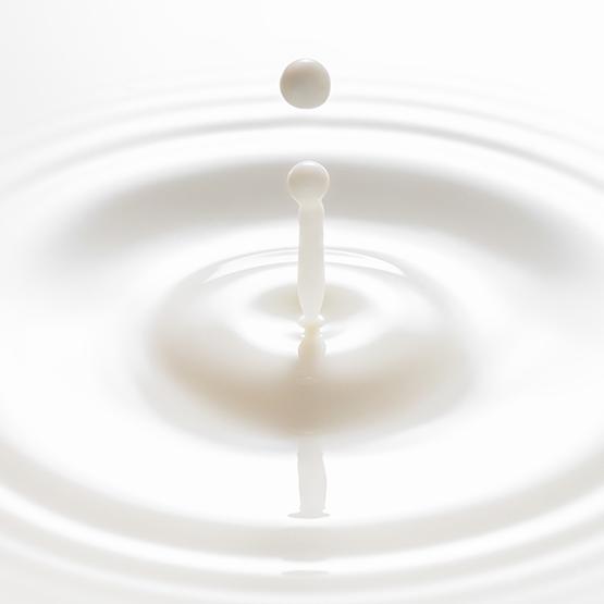 FULLY Рисовый керамидный эссенциальный тонер 250 мл