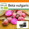 Сад в пакете - Органический - Свекла - Кьоджа - 70 семян - С субстратом в подходящем стоячем пакете - Beta vulgaris