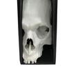 Halloween Skull Bookend Bookshelves Decoration Spooky Gothic Skull Figurine Home Office Desktop