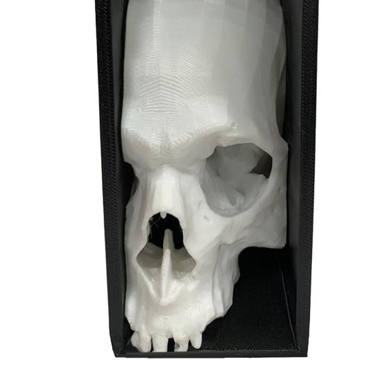 Halloween Skull Bookend Bookshelves Decoration Spooky Gothic Skull Figurine Home Office Desktop