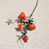 Plastic Artificial Pomegranate Branches 5-Fruit Fake Plants  Birthday Decor