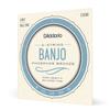D'Addario Phosphor Light Banjo Strings, 5-String, Ball End, .009-.020, EJ69B