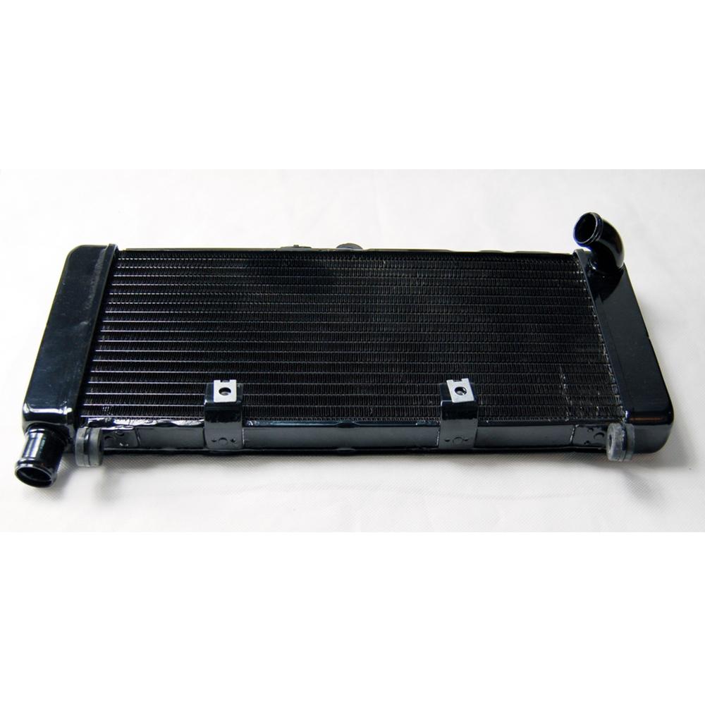 Защита решетки радиатора Охладитель Для Honda CB900 CB919F Hornet900 2002-2007 Черный