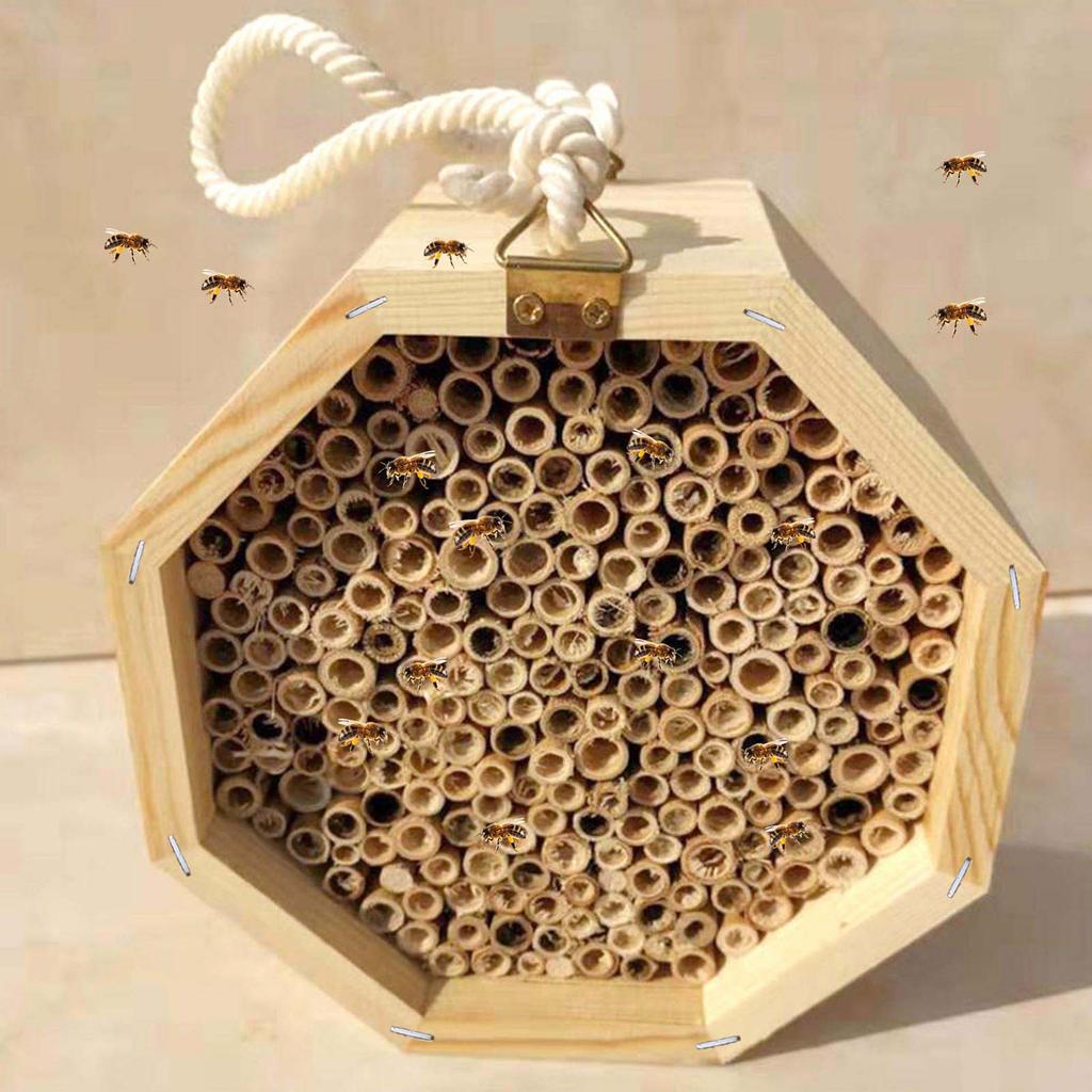 Bee Hotel for Garden and Yard Bamboo Bee Hive for Bees Butterflies Mason Bee Houses and Supplies for Outdoor Garden