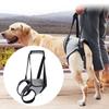 Ligament Rehabilitation Dog Support Harness Back Legs Pet Auxiliary Belt New Dog Support Sling  Dog