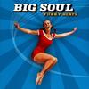 CD BIG SOUL - Funky Beats  74321916412 BMG 2002 Япония Танцевальная и Электронная Б/У